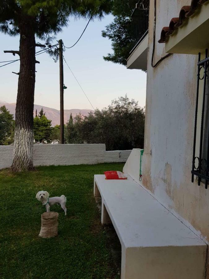 Villa Galaxídhion Eksteriør bilde